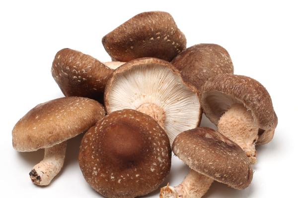 Shiitake